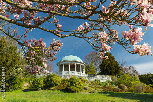 blühende Magnolie vor dem Beethoventempel, Kurpark, Baden bei Wien, Niederösterreich, Österreich photo