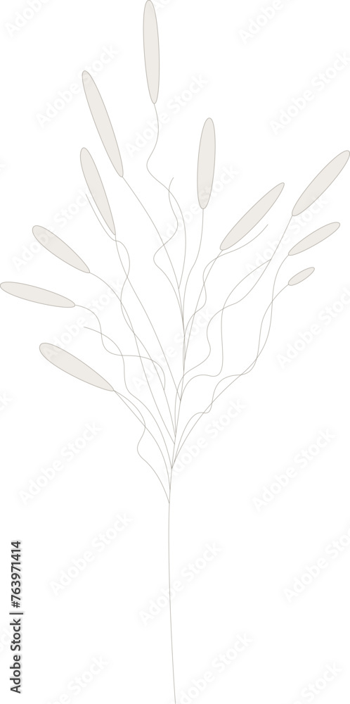 Fototapeta premium Delicate pastel dried flowers [vector].