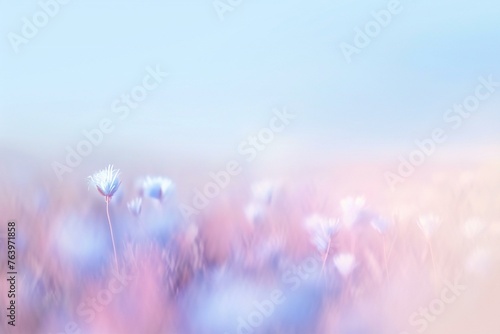 Flower meadow with blue cornflowers,  Nature background #763971858