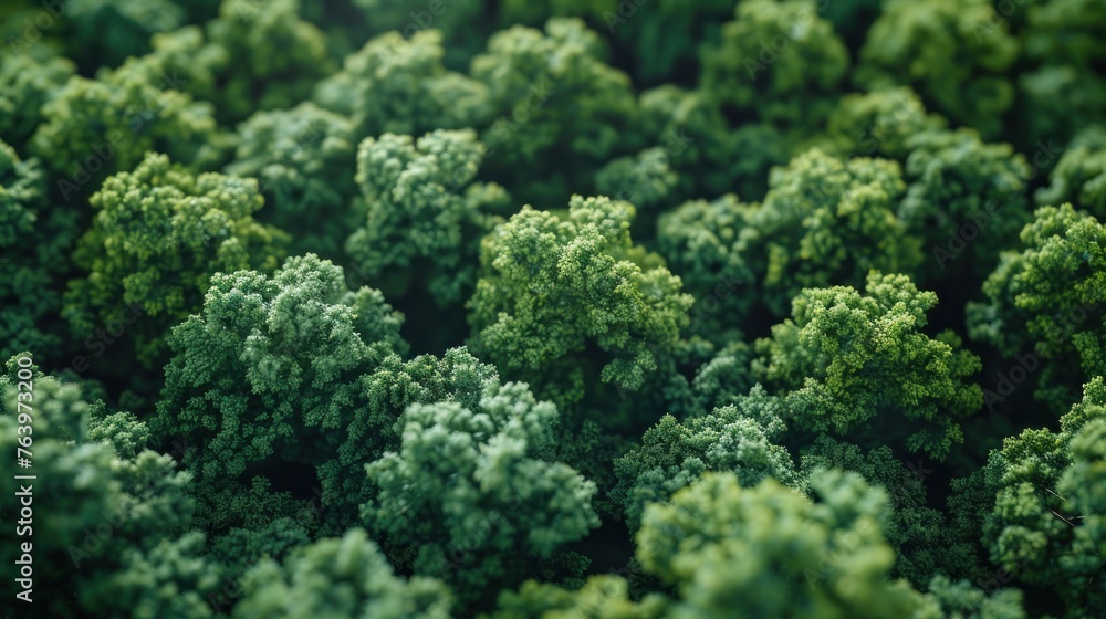 green moss background, organic, greenery green moss background, organic, greenery