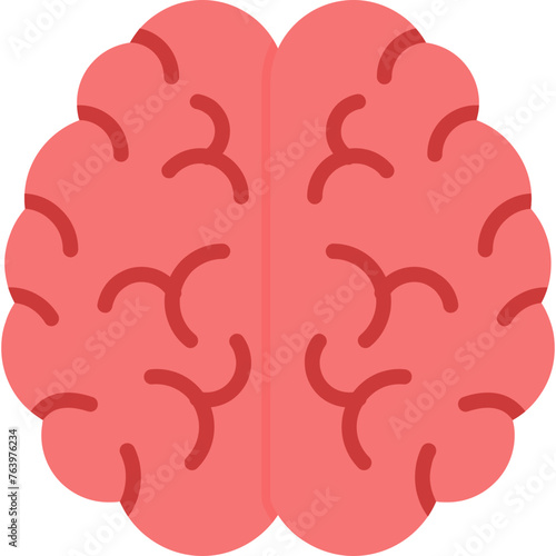 Brain Icon