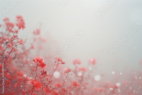 Red flowers on a foggy day, Beautiful natural background with copy space