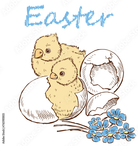 Newborn hatched Easter chicks, eggs, delicate spring violets bouquet with ribbon, greeting card, hand drawn vector illustration