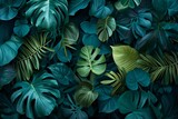 Tropical leaves background,  Top view, flat lay,  Nature concept