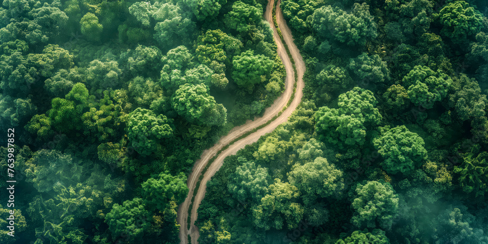 Meandering Road Through Dense Tropical Rainforest from Above
