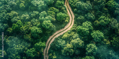 Meandering Road Through Dense Tropical Rainforest from Above
