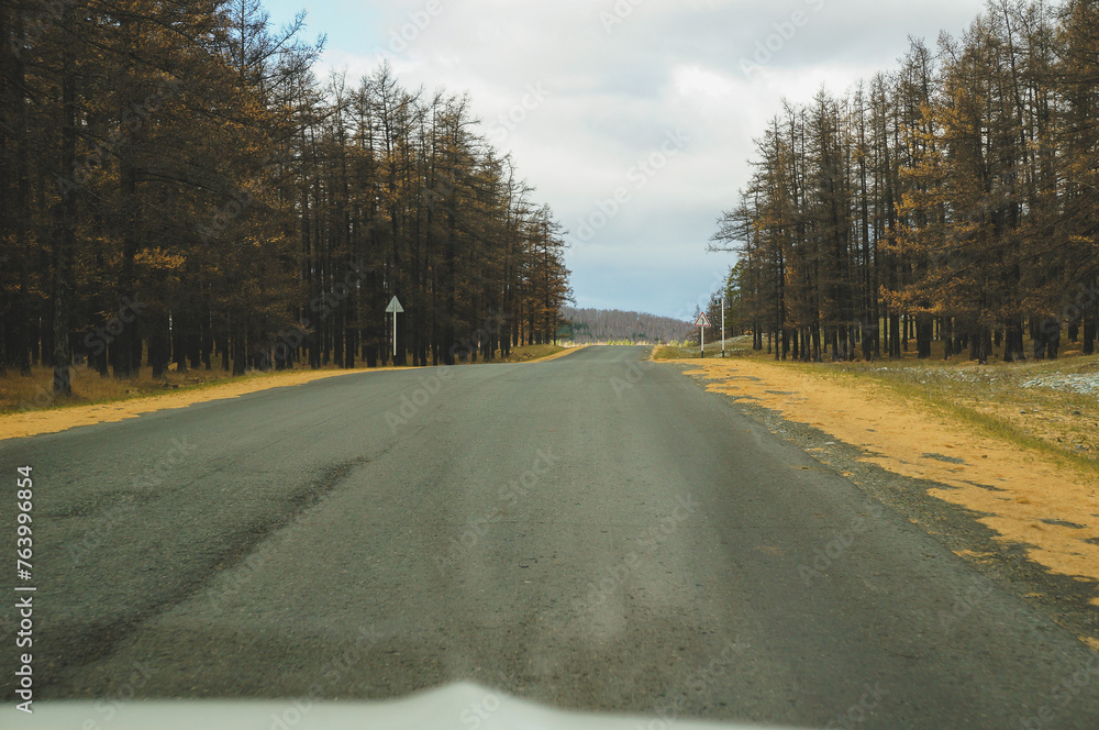 Car driving through treelined road under cloudy sky Car driving through treelined road under cloudy sky