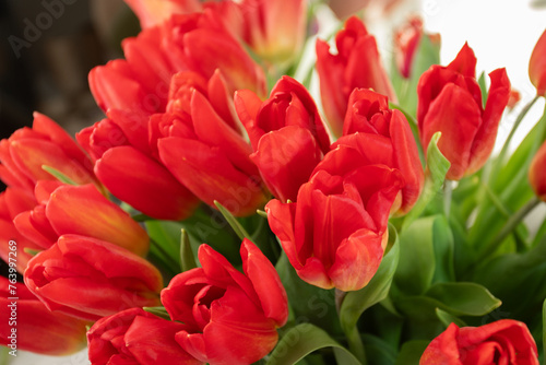 Spring tulips, red floral arrangement, Easter celebration, colorful blooms.