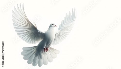 White Dove Flying in Air, Isolated on White Background