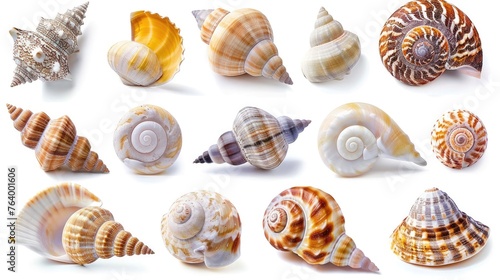 beautiful shell set collection. Isolated on white background Generative AI