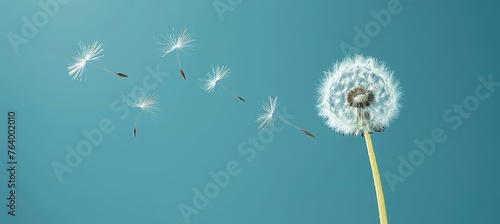 Dandelion seed floating in the wind  offering a serene moment with space for text placement.