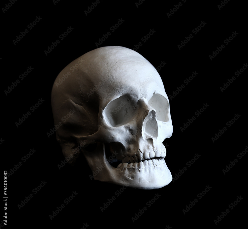 Plaster white skull close-up on a black background. Fake plaster skull on a dark background. Model for drawing a skull, for art school students. Anatomy and art education concept Plaster white skull close-up on a black background. Fake plaster skull on a dark background. Model for drawing a skull, for art school students. Anatomy and art education concept