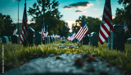 A cemetery with many American flags on the grass