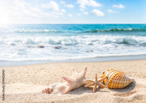 Seashells and starfish on sandy beach with sea background