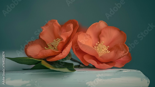 red quince flowers on table background High quality photo