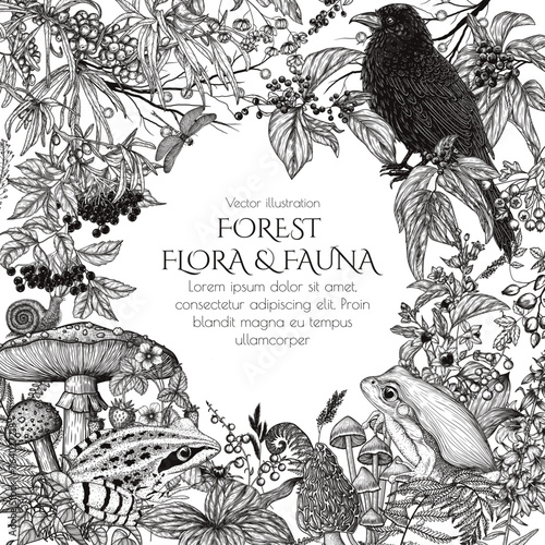 Vector frame of forest flora and fauna. Raven, frogs, snail, dragonfly, mushrooms, berries, flowers, plants in engraving style