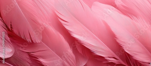 A macro photography shot capturing the intricate details of pink feathers in various tints and shades  reminiscent of petals on a flowering plant