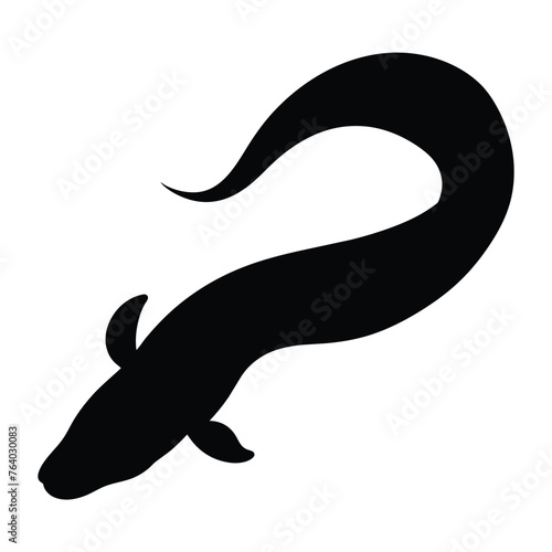 silhouette of a Eel fish on white  photo