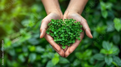 Love for the environment hands gently cradling a heartshaped plant , vibrant