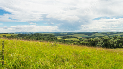 A view of the Brazilian Subtropical Highland Grasslands  Campos de Cima da Serra  in Sao Francisco de Paula  South of Brazil