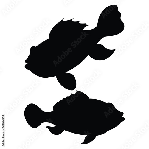 silhouette of a monkfish on white