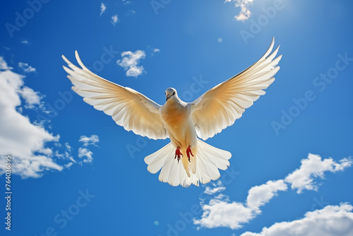 White dove soaring in flight against a bright blue sky