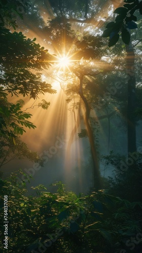 Sun Shining Through Trees in Lush Green Forest Generative AI