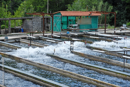 Wallpaper Mural fish farming in France Torontodigital.ca