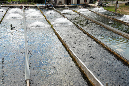 fish farming in France
