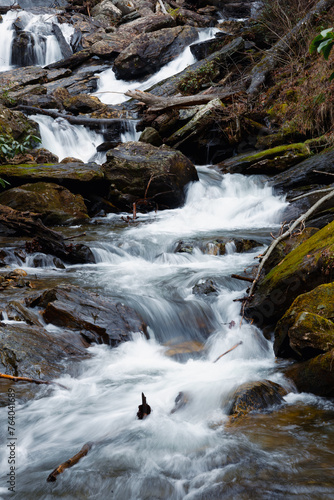 Stream in the mountains near Anna Ruby Falls