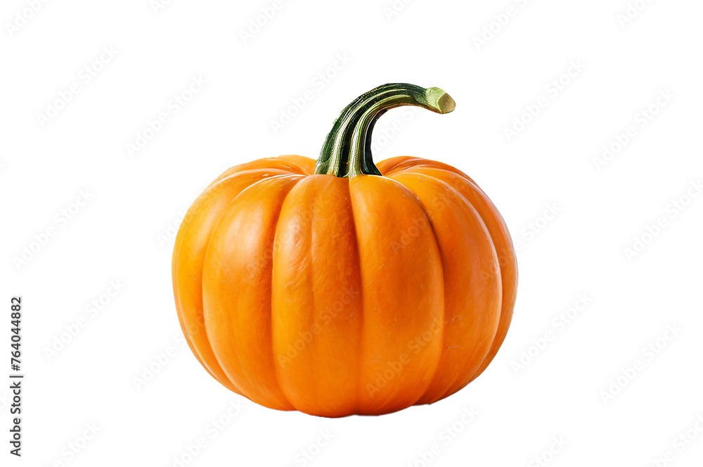 pumpkin isolated on white background pumpkin isolated on white background