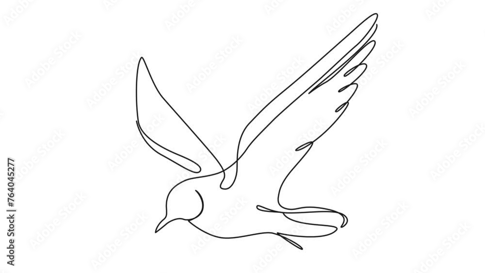 animated continuous single line drawing of a flying seagull, line art ...