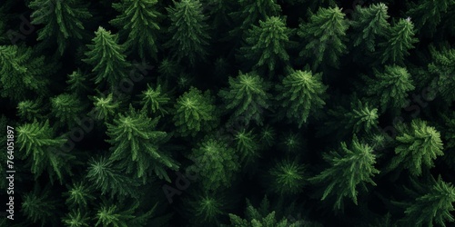 tree tops of a green forest bird's eye view Generative AI