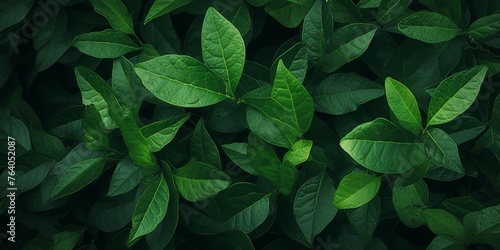 green plant leaves texture Generative AI © Evghenii