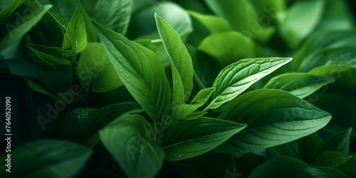 green plant leaves texture Generative AI