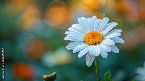 Pure Beauty: A Close-Up of a White Daisy, Symbolizing Innocence, Purity, and Serenity