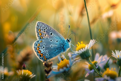 Ecosystem Harmony: Butterfly and Flower Interaction in Meadow