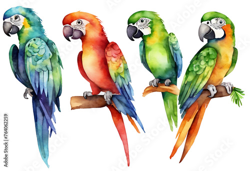 parrots on a branch, watercolor illustration