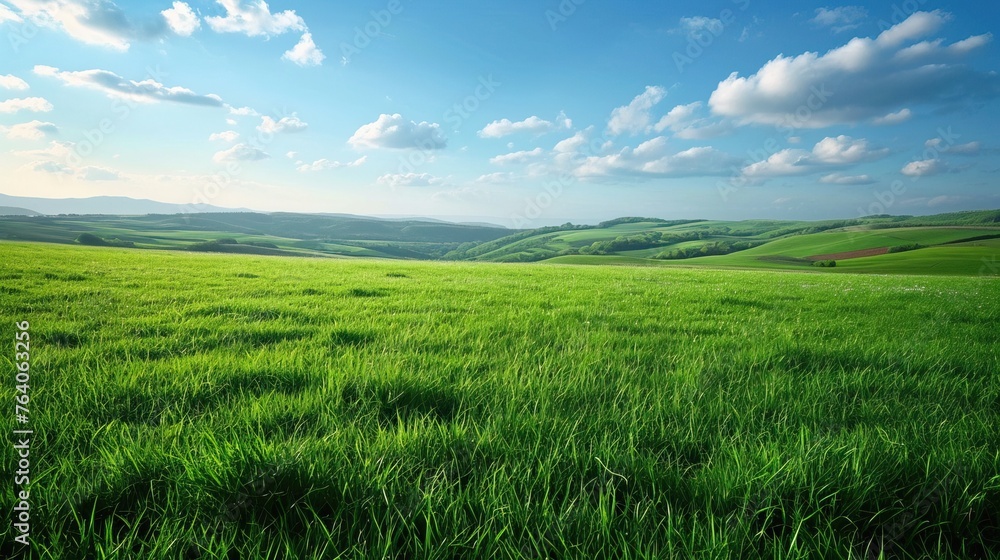 Green grassy landscape, symbolizing nature, freshness, and outdoor beauty


