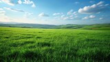 Green grassy landscape, symbolizing nature, freshness, and outdoor beauty


