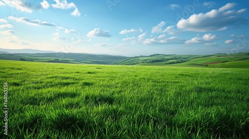 Green grassy landscape, symbolizing nature, freshness, and outdoor beauty