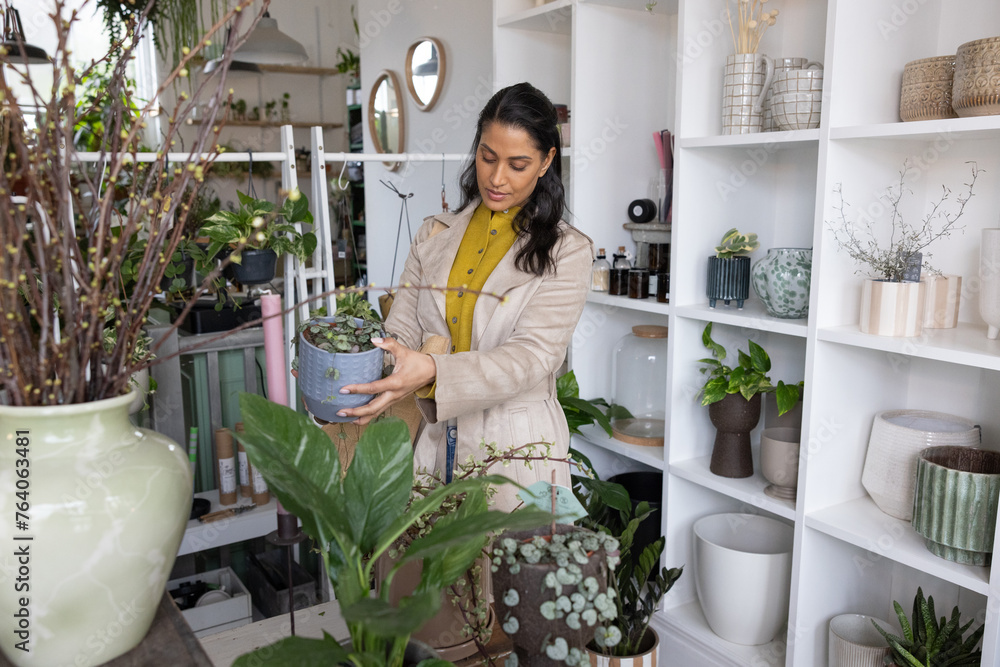 Female shopper choosing a plant in a florist to buy for a gift Female shopper choosing a plant in a florist to buy for a gift