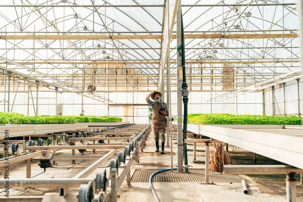 Naklejka premium Farmer senior man working in his farm and greenhouse