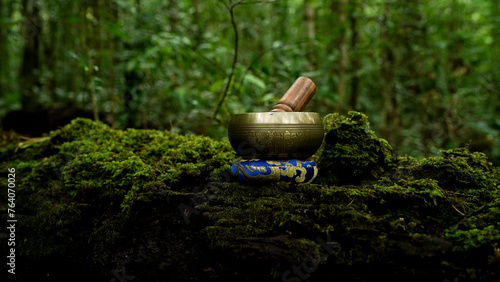 healing bowl greenery forest background