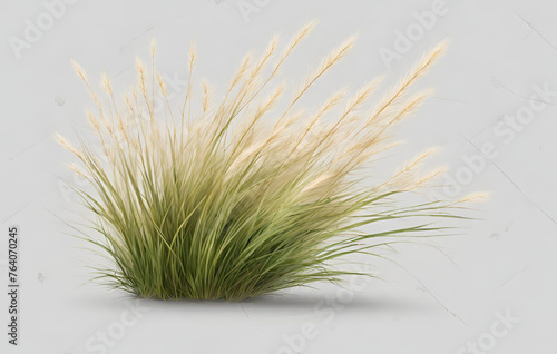 3d illustration of muhlenbergia rigens grass isolated on white bachground
