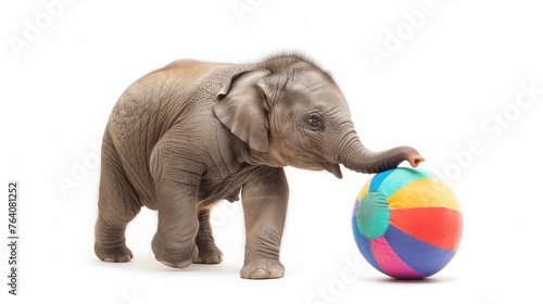 A charming baby elephant playing with a colorful ball, innocence radiating from its eyes against a pure white background.