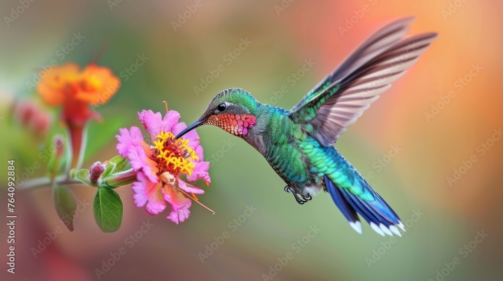 Fototapeta premium Hummingbird flying next to beautiful flower for sucking nectar from bloom in the forest. Tinny bird fly in jungle.