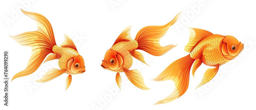 Collection of 3 cute gold fish In different view isolated on white background PNG