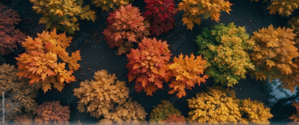 Maple trees in fall beautiful nature scenery landscape from Generative AI Maple trees in fall beautiful nature scenery landscape from Generative AI