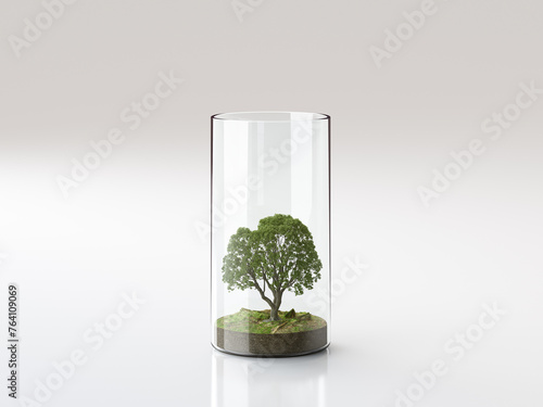 Baum im Glas